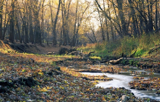 Creek flowing into the Minnesota River in Chaska, MN | Carver County MN
