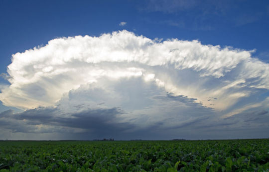 Strong storms developing to the east of Olivia, MN | Renville County MN