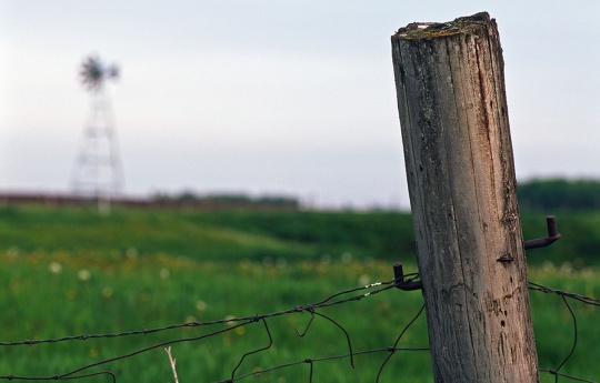 Fence post and windmill southeast of Green Isle, MN | Sibley County MN