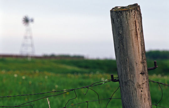 Fence post and windmill southeast of Green Isle, MN | Sibley County MN