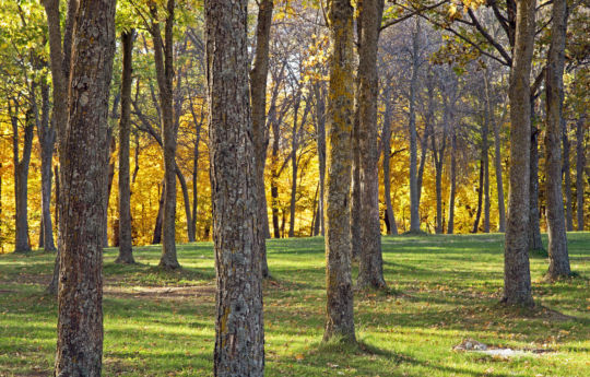 High Island Creek County Park near Henderson, MN | Sibley County MN