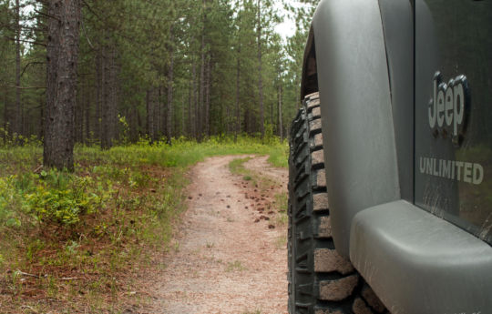 Driving through the forest north of Winner, MN - Beltrami Island State Forest