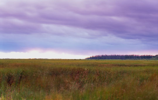 Lake Roseau Wildlife Management Area at sunset | Roseau County MN