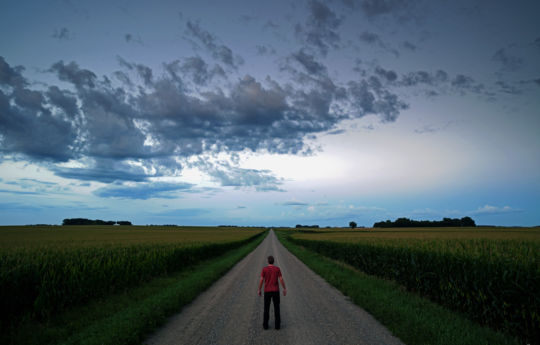 Looking east after sunset south of Bird Island, MN | Renville County