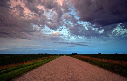 Looking south on 420th St near Fairfax, MN | Renville County Minnesota