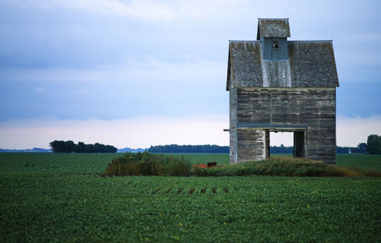 West of Warren, MN along MN-1 | Marshall County MN