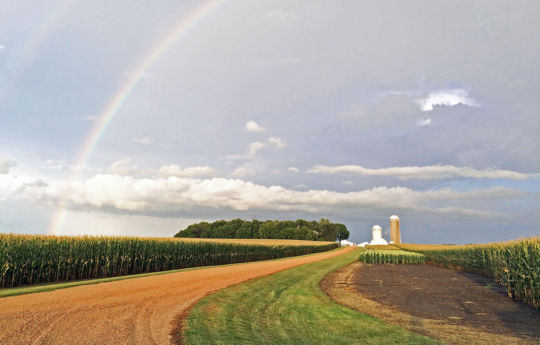 Double rainbow over a corn field northwest of Fairfax, MN | Renville County MN