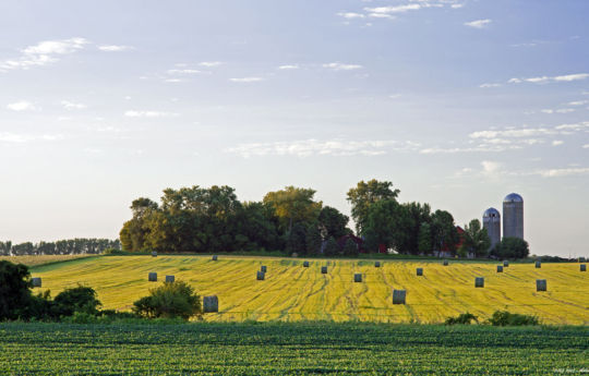 Bales of hay south of Arlington, MN | Sibley County MN