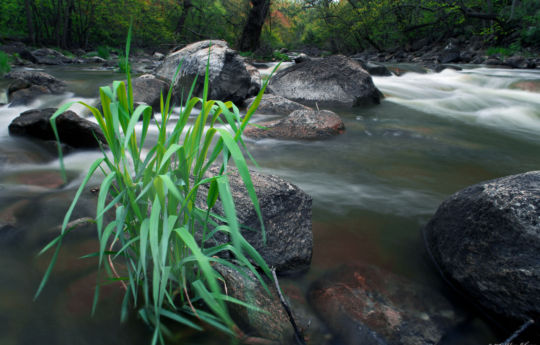 Beaver Creek Falls County Park in spring Morton, MN | Renville County MN