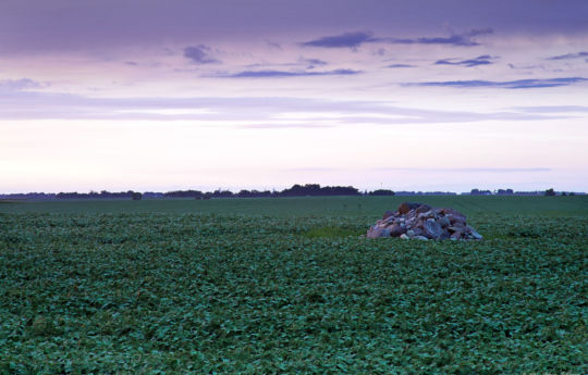 Stones in a field northwest of Gibbon, MN | Sibley County MN