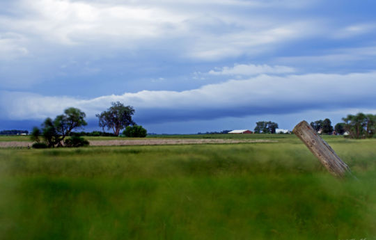 Watching a storm pass to the east along County Road 4 | Renville County MN