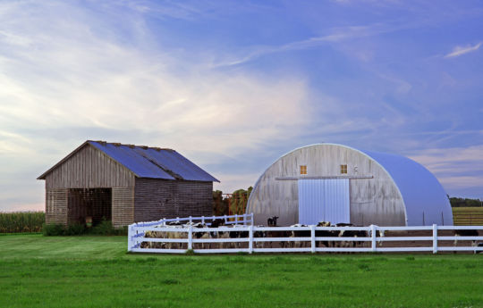 Dairy farm south of Bongards, MN | Carver County MN