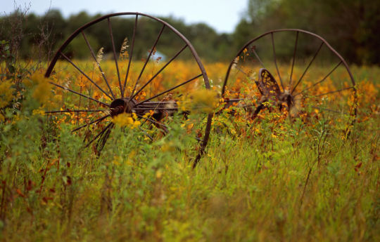 Field in Wannaska, MN | Roseau County