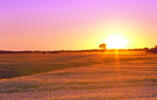 Sun setting on a dry evening | Roseau County MN