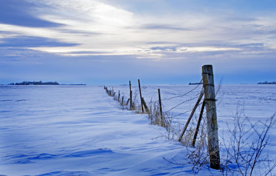 Winter in Arlington, MN | Sibley County MN