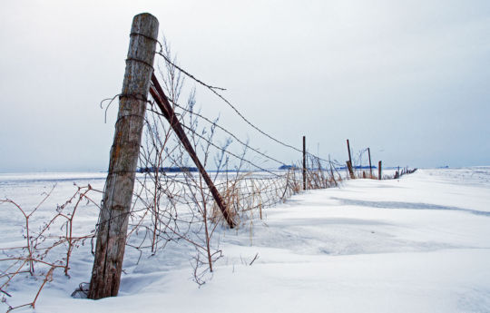 Winter in Arlington, MN | Sibley County MN