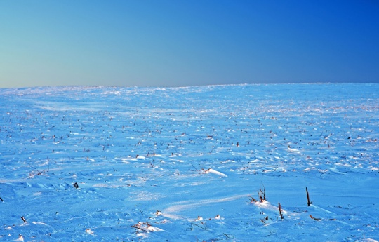 Snow covered fields northwest of Fairfax, MN | Renville County MN