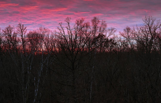 St. Croix State Park - Looking acorss the Kettle River at sunset