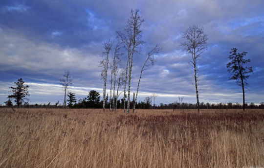 St. Croix State Park