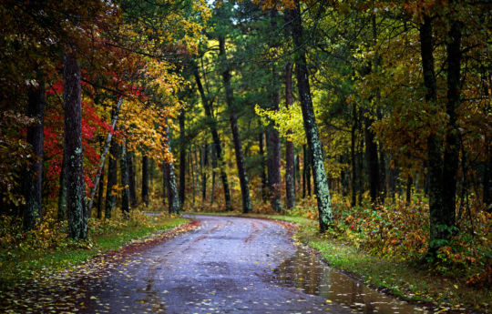 Fall colors along Head Of the Rapids Road | St. Croix State Park