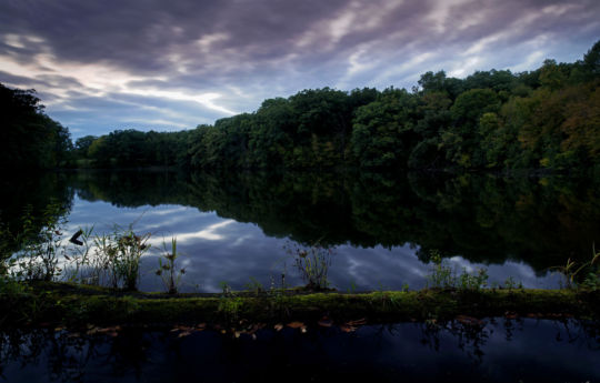 Lake Maria State Park