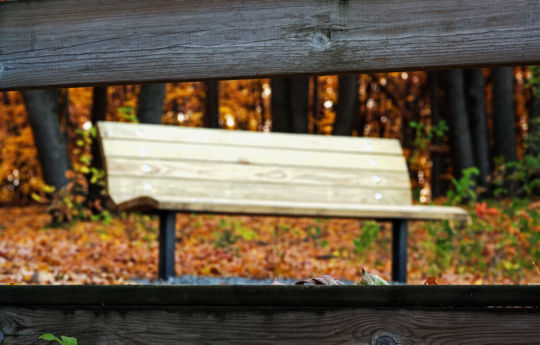 Fall colors at Lake Maria State Park