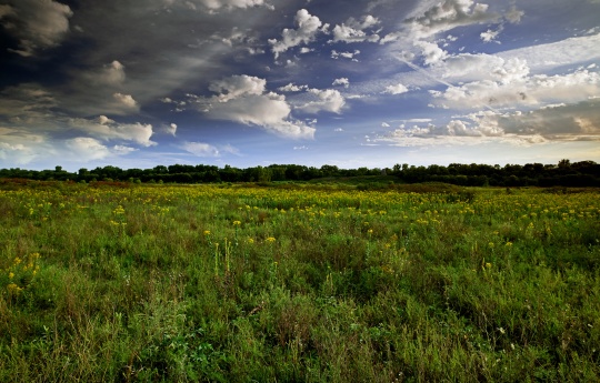 Minneopa State Park natural prairie in early September
